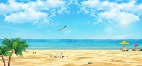 听海的背景资料,探寻海洋深处的神秘与奇迹