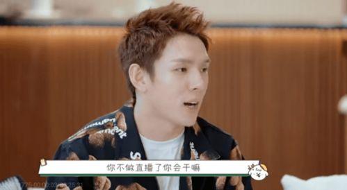 季姓明星,闪耀舞台的璀璨星辰