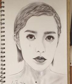 明星手绘图片,笔尖下的艺术魅力